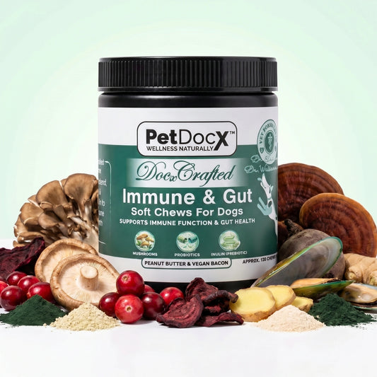 PetDocX Crafted Immune & Gut — Daily Immune & Gut Health Support for Dogs