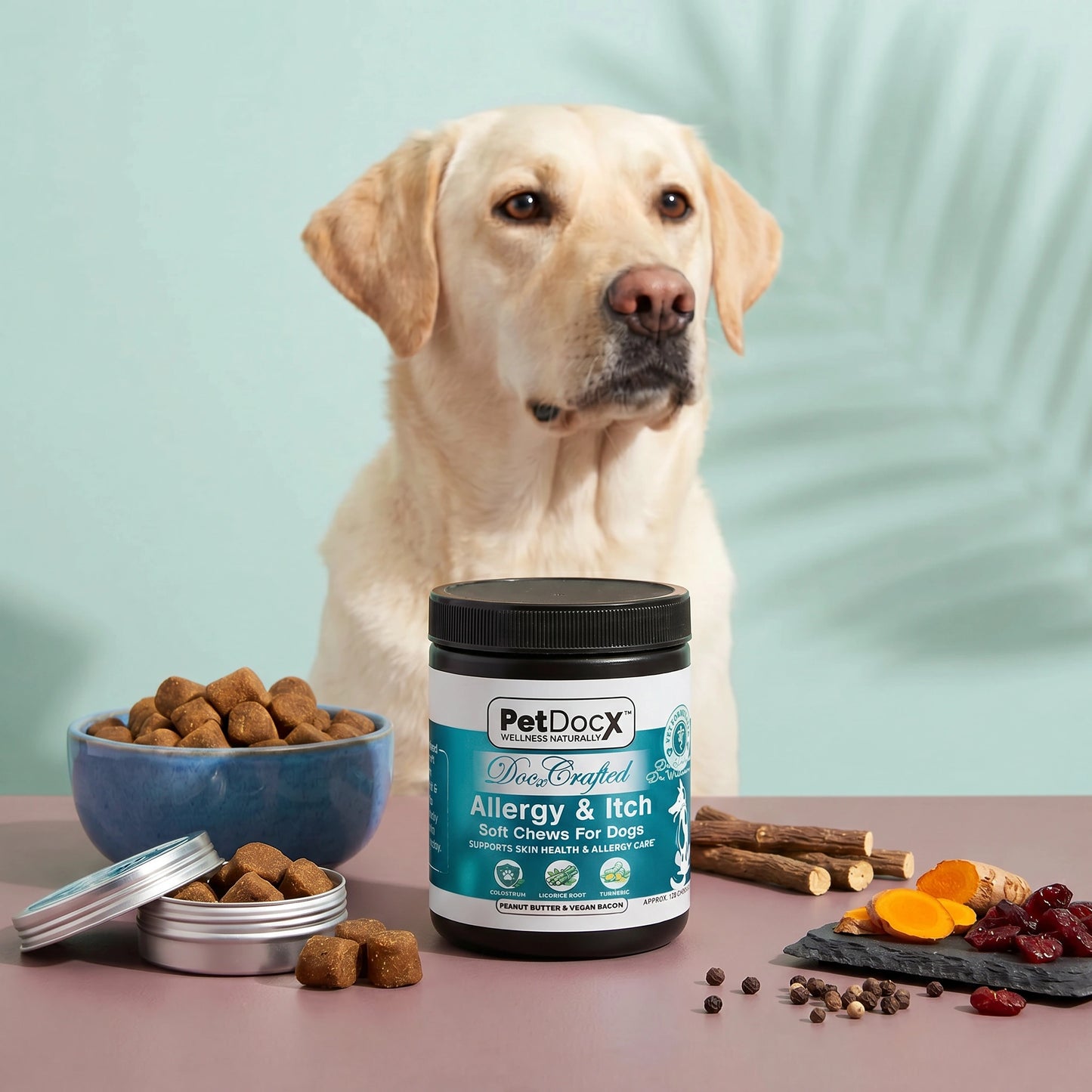 PetDocX Crafted Allergy & Itch
