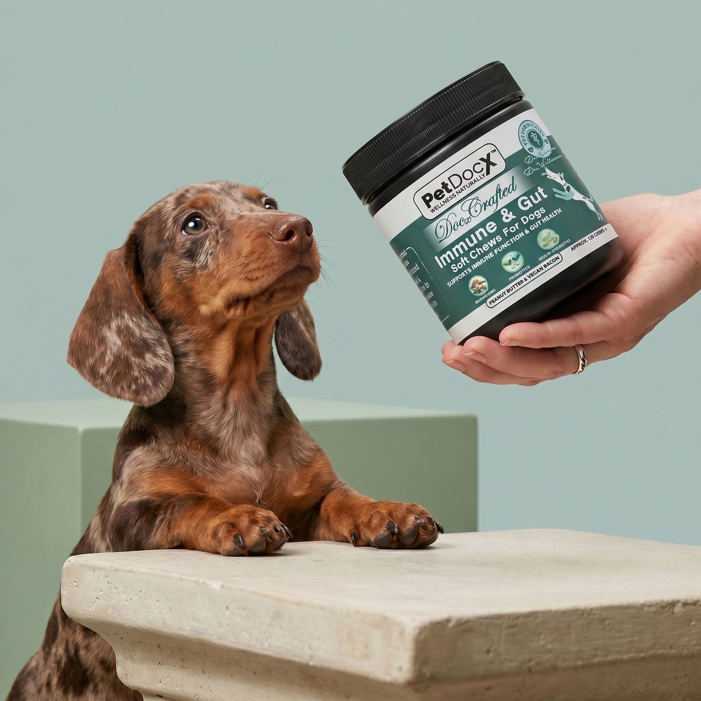 PetDocX Crafted Immune & Gut — Daily Immune & Gut Health Support for Dogs