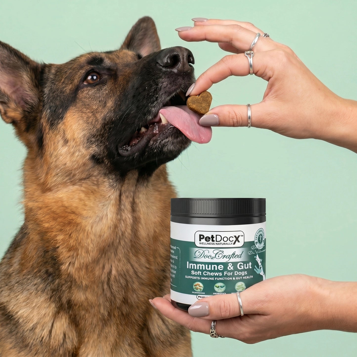 PetDocX Crafted Immune & Gut — Daily Immune & Gut Health Support for Dogs